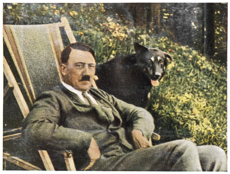 Adolf Hitler, vegetariano, defensor de los animales, y genocida.